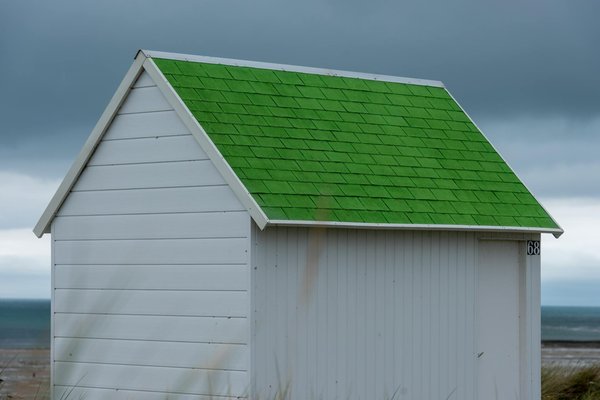 Plongée Culturelle : Vivez l'Inoubliable Aventure du Tourisme Rural