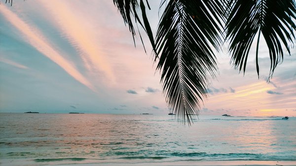 Avenir des Croisières en Alaska : Nouveaux Horizons et Perspectives Fascinantes